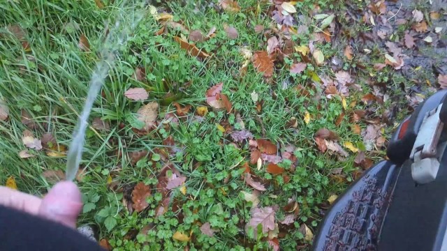 Wet and Wild: Desperate Pee Break by the Busy Roadside